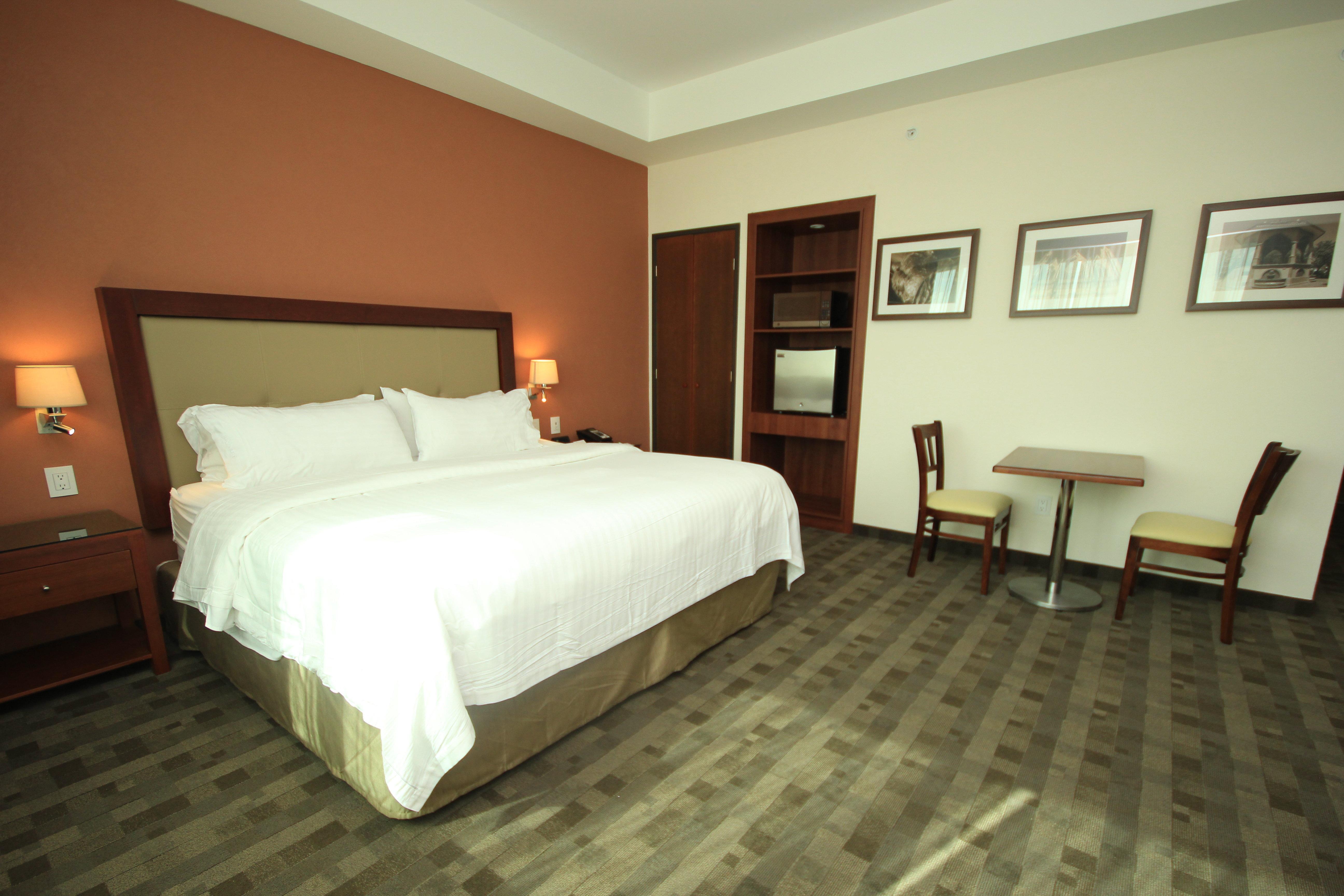 Holiday Inn & Suites Plaza Mayor By Ihg León Exterior foto
